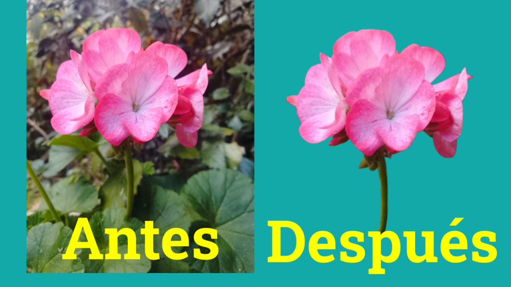 Quitar fondo con RemoveBg