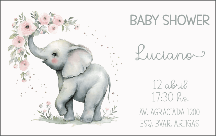 Baby Shower - Luciano - Marcia Motivos